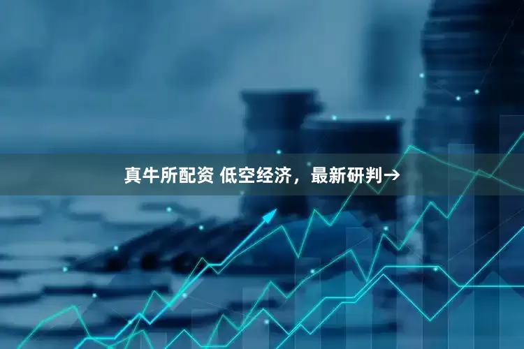 真牛所配资 低空经济，最新研判→