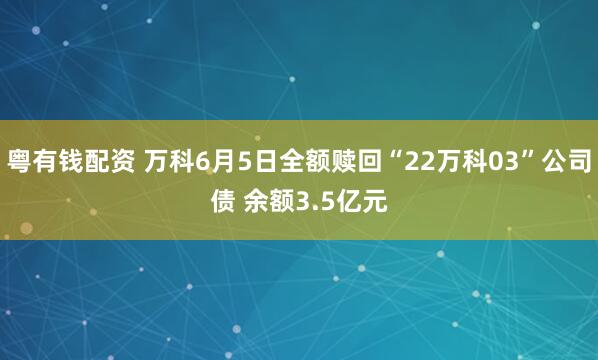 粤有钱配资 万科6月5日全额赎回“22万科03”公司债 余额3.5亿元