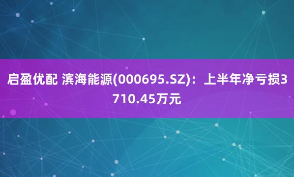 启盈优配 滨海能源(000695.SZ)：上半年净亏损3710.45万元